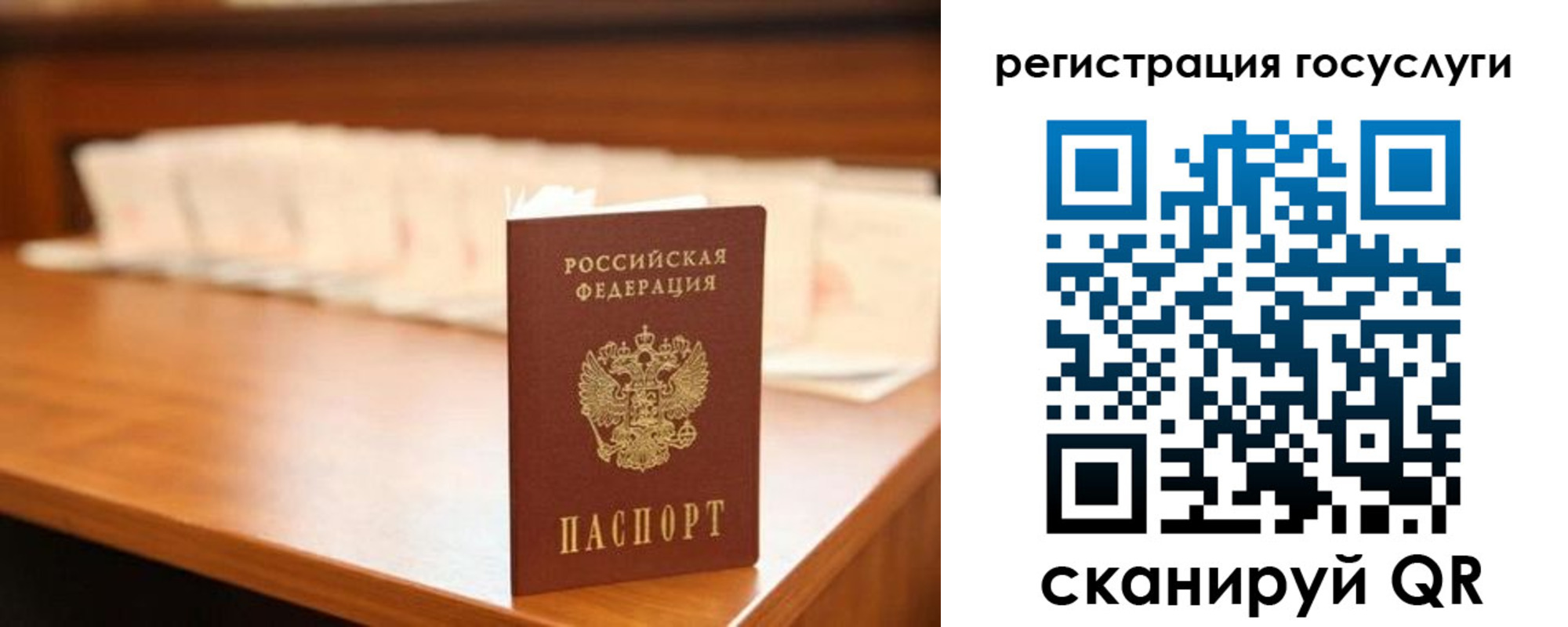прописка в квартире в Шумихе