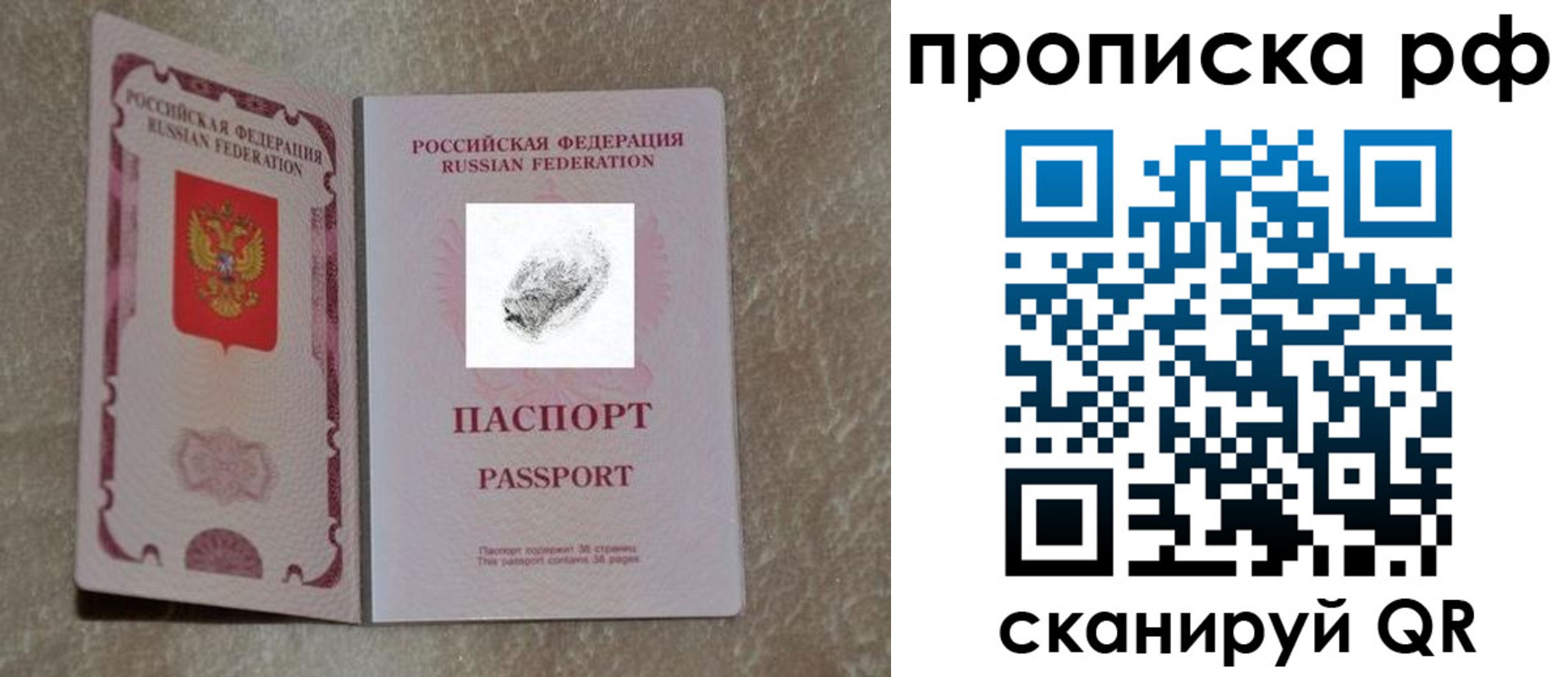 прописка поиск в Шумихе